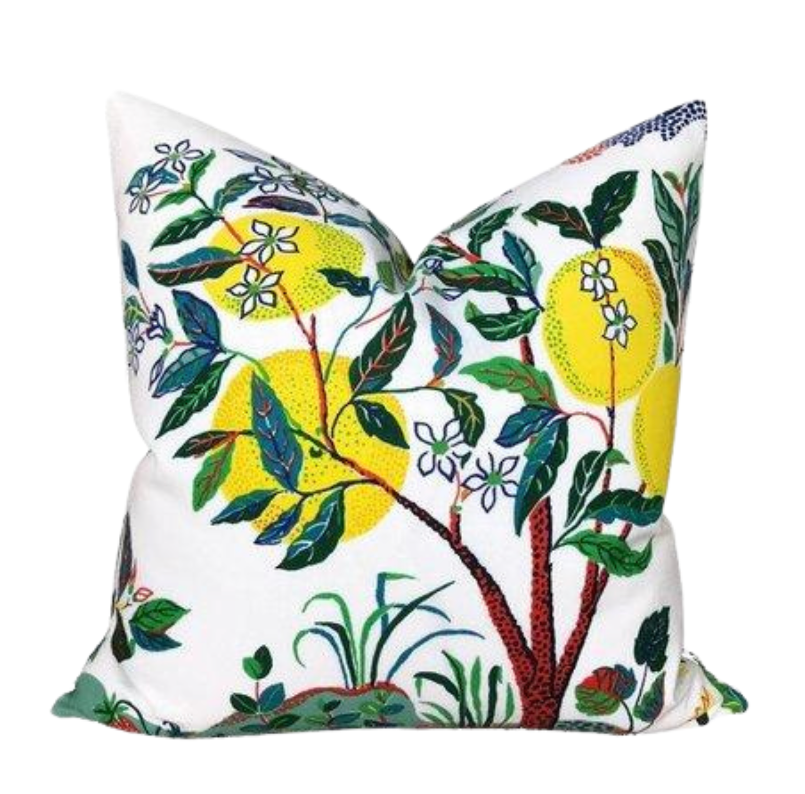 Citrus Garden Pillow Cover in Primary, Indoor Outdoor Pillows, Schumacher Textiles