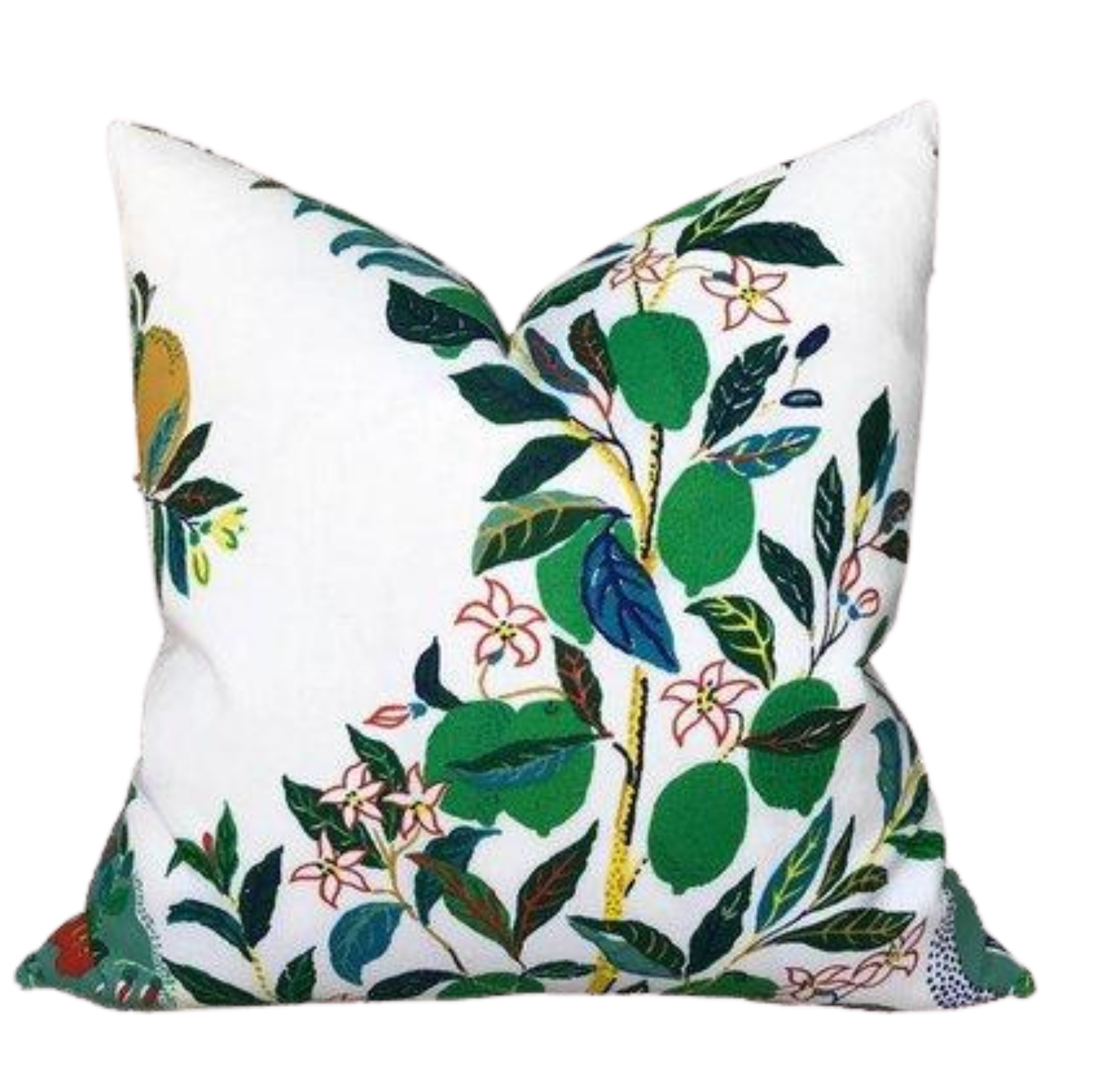 Citrus Garden Pillow Cover in Primary, Indoor Outdoor Pillows, Schumacher Textiles