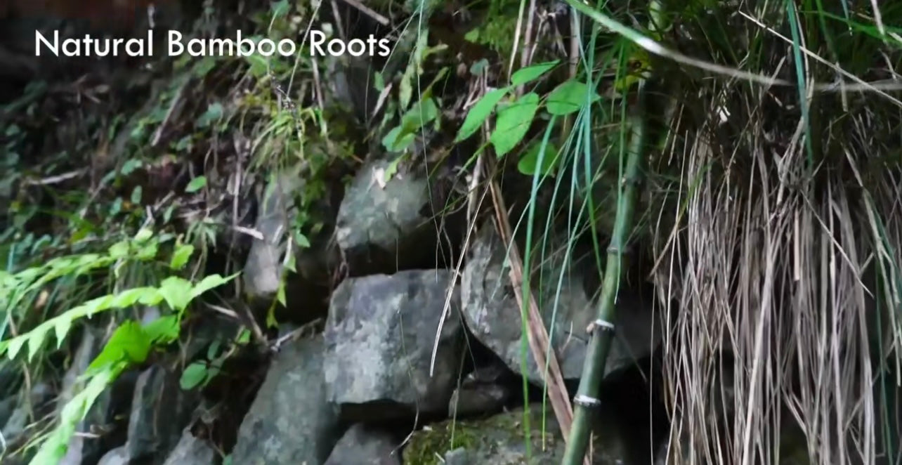 Bamboo Retro Bottle Opener