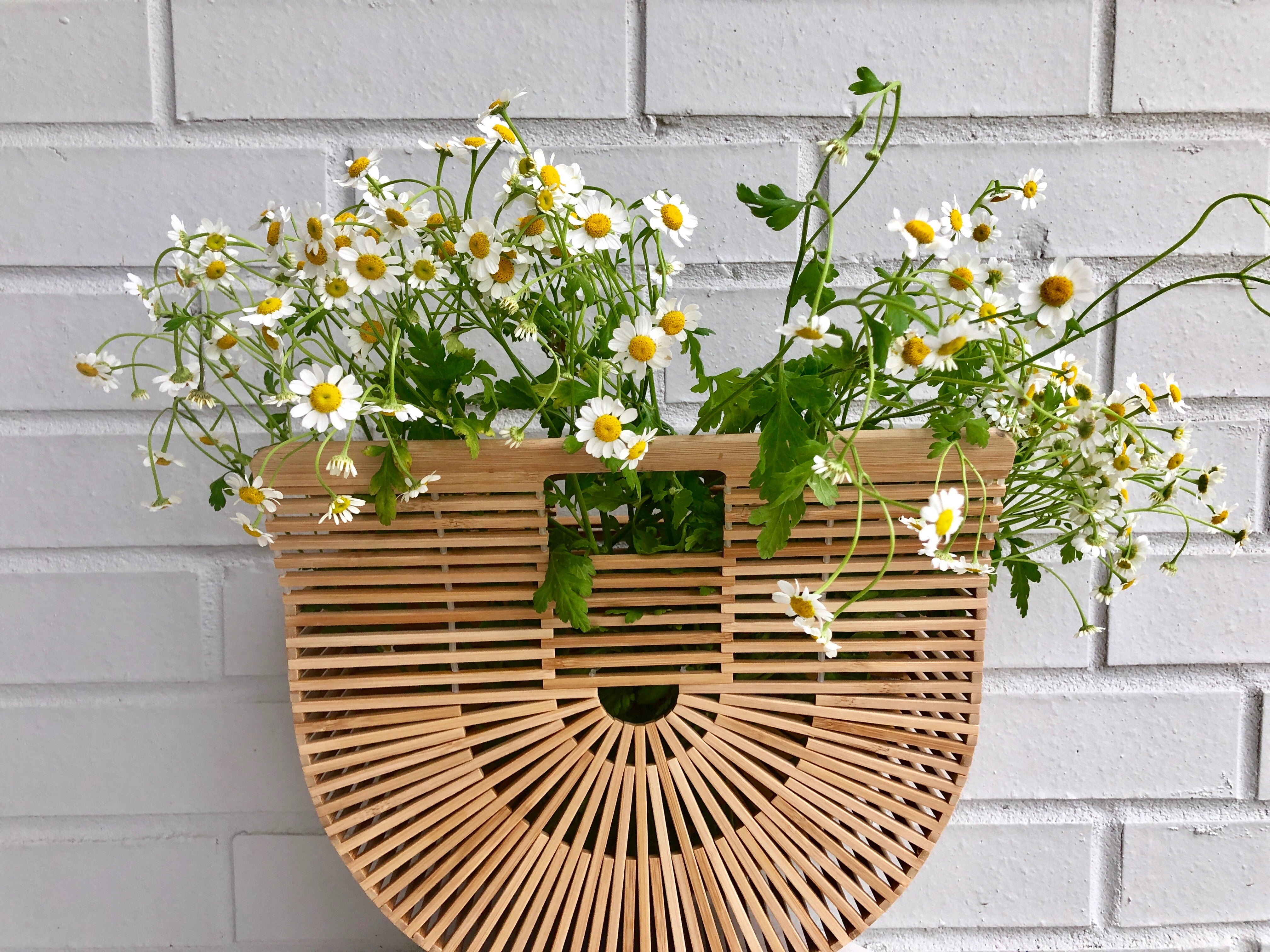 Bamboo Semicircular Totes