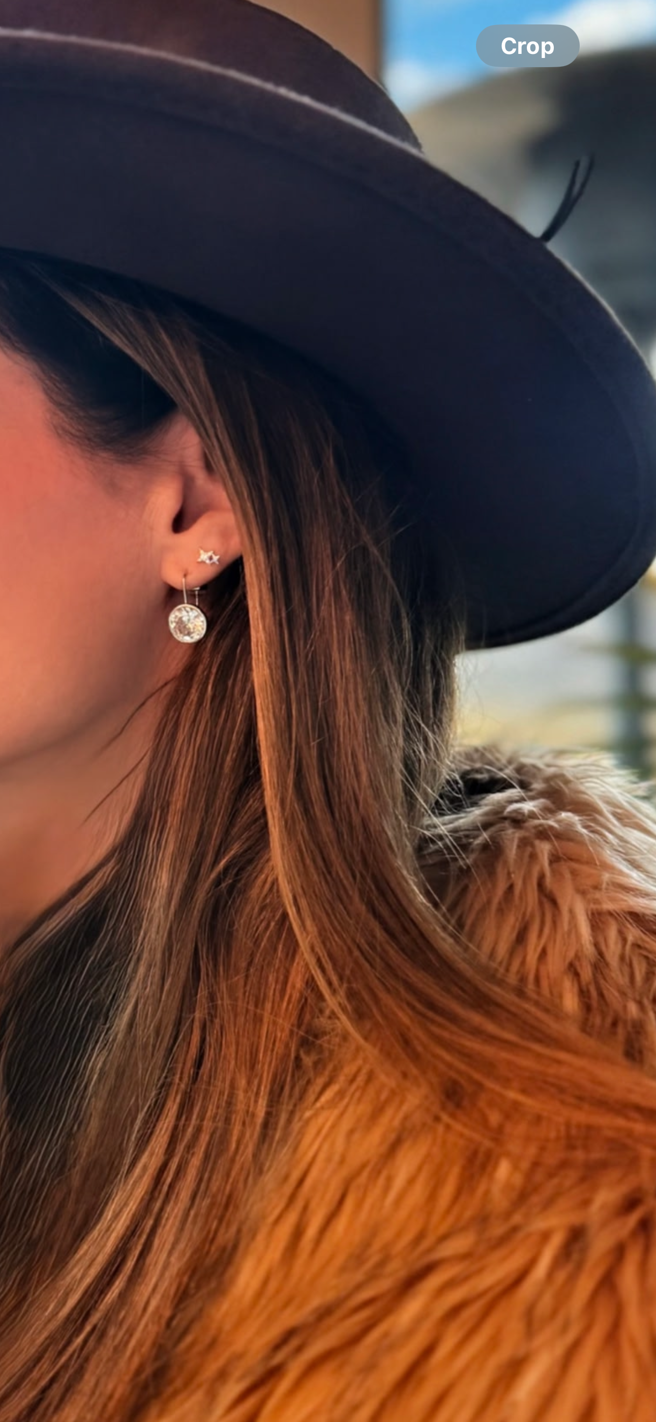 Silver Bezel Drop Earrings