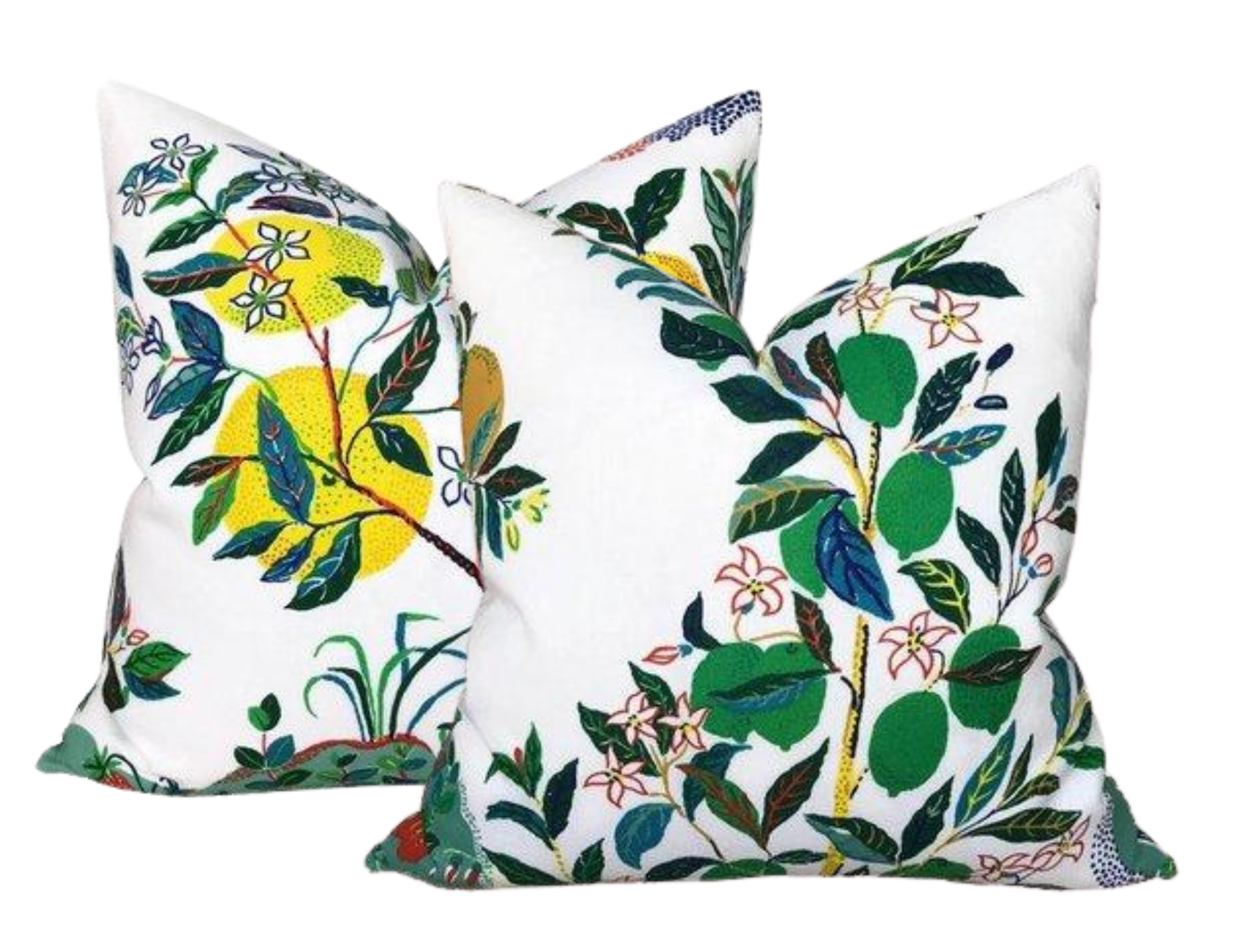Citrus Garden Pillow Cover in Primary, Indoor Outdoor Pillows, Schumacher Textiles